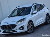 używany Ford Kuga 2.0 EcoBlue 4x4 ST-LINE X