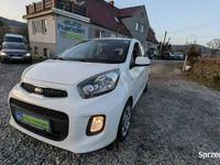 Używany Kia Picanto 67 KM (49 kW) 2016 Biały Hatchback