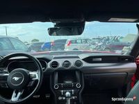 używany Ford Mustang GT 5.0 V8 450 Fastback FV503