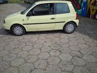 Obraz 3