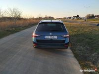 Obraz 3