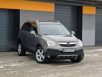 Używany Opel Antara Selection 2008 Szary SUV