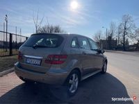 Obraz 3
