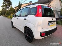 Obraz 2