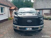 używany Ford F-150 5.0 V8 395KM 4X4 Kamera Klima Zarejestrowany