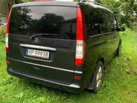 Obraz 3