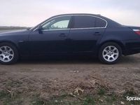 Używany BMW 523 Sport Line 177 KM (130 kW) 2005 Granatowy Sedan/Limuzyna