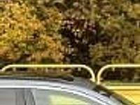 używany BMW 518 SERIA 5 VII (G30/G31) d Luxury Line sport2,0 d Automat,Panoramadach,Skóry.