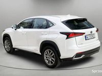 używany Lexus NX300h NXOptimum AWD ! Z polskiego salonu ! Faktura…