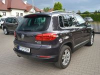 Obraz 3