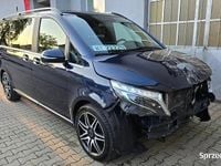 Obraz 3