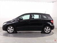 Obraz 3