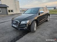 używany Audi SQ5 V6T 3.0 TFSI Premium Black