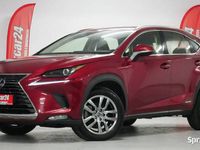 używany Lexus NX300h NX/ 2,5 / 197 KM / Jak NOWY / FULL LED / Sal…