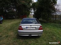 Obraz 3