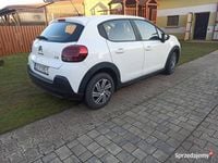 Obraz 3