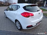 używany Kia Ceed Ceed1.6 GDI L Business Line