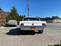 Obraz 3