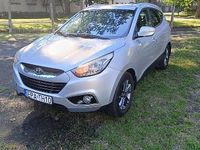 Obraz 1