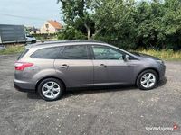 Używany Ford Focus 125 KM (91 kW) 2012 Szary Sedan/Limuzyna