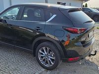 Obraz 2