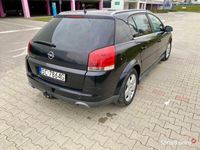 używany Opel Signum 