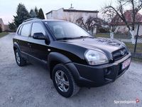 Obraz 1