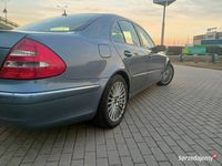 Obraz 2