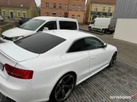 Obraz 3
