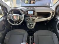 Nowe Fiat Panda Icon 70 KM (51 kW) 2025 Lakier pastelowy zółty positano Hatchback