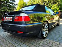 Obraz 3