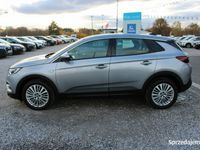 używany Opel Grandland X F-VAT,Salon-PL,Gwarancja,I-właściciel,Elit…