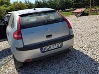 Obraz 3
