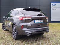 używany Ford Kuga III ST-Line 1.5 EcoBoost 150KM