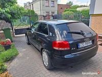 Obraz 3