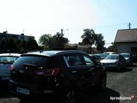 Obraz 3