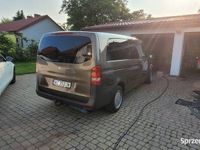 Obraz 3