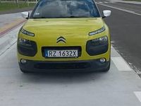 Obraz 3
