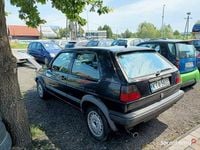 Obraz 3