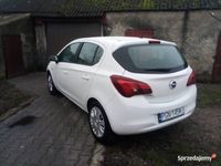 Obraz 1