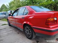 Obraz 3