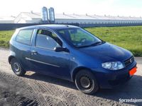 używany Fiat Punto 