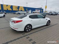 używany Kia Optima Hybrid 