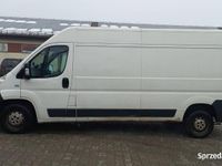 Używany Fiat Ducato 2008 Biały Van
