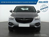 Używany Opel Grandland X 2018 Srebrny SUV