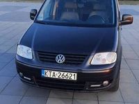 Obraz 3