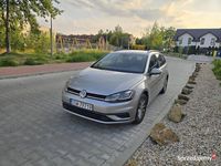 Obraz 3