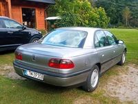 Obraz 2