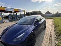 Używany Tesla Model Y Long Range RWD 2021 SUV