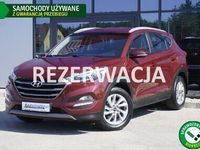 Obraz 1